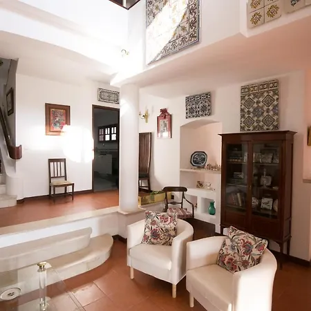 Paraiso Da Quintinha * Cotovia